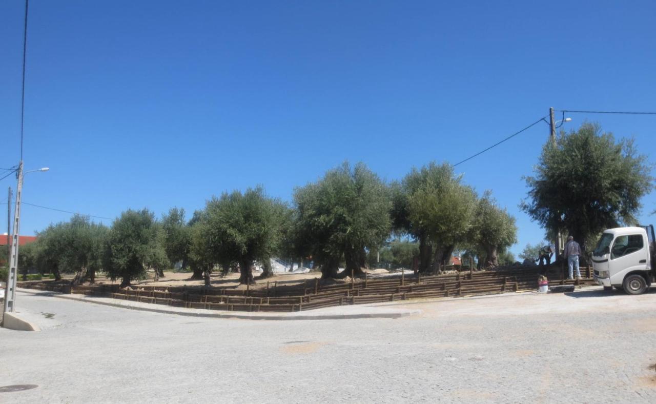 Casa Da Rosa Linda Βίλα Orca Εξωτερικό φωτογραφία